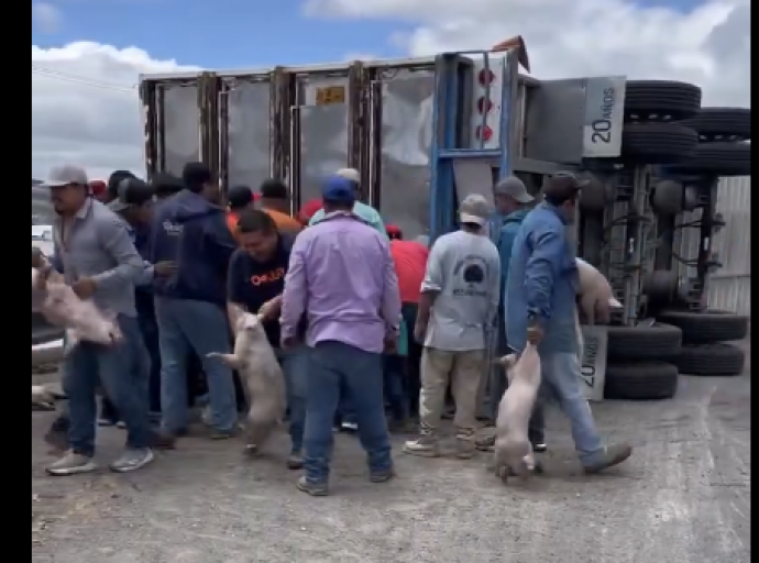 Y Se Armó la Carnita